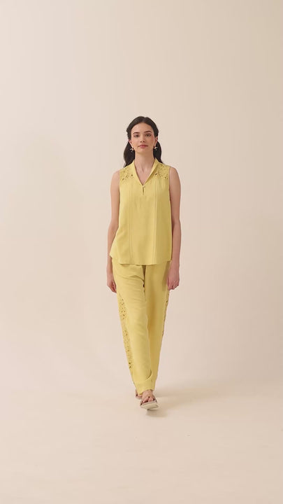color_Haldi Yellow